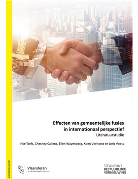 Effecten van gemeentelijke fusies in internationaal perspectief: literatuurstudie SBV