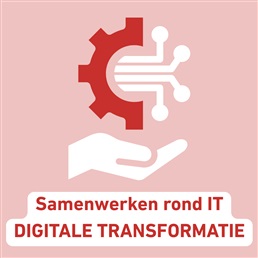 Samenwerken rond IT en digitale transformatie: waarom en hoe?