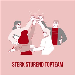 Van een 'gewoon' managementteam naar een sterk sturend topteam