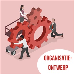 Bewust organiseren: van historisch gegroeide structuur naar doordachte keuzes